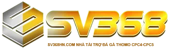 sv368.com.co