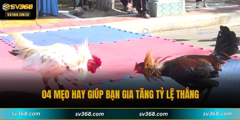 04 mẹo hay giúp bạn gia tăng tỷ lệ thắng
