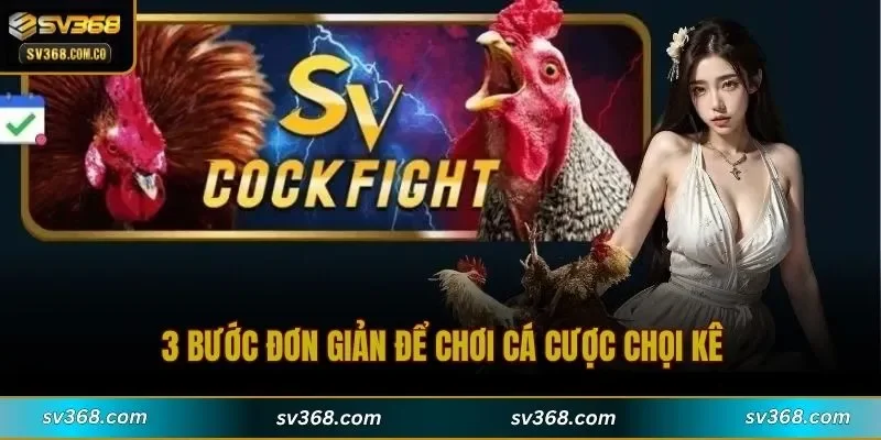3 bước đơn giản để chơi cá cược chọi kê