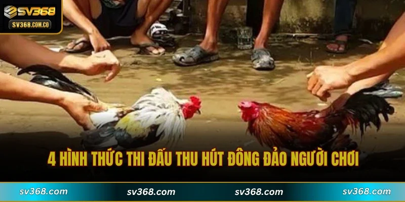 4 hình thức thi đấu thu hút đông đảo người chơi