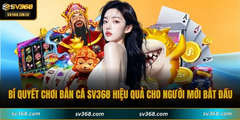 Bí quyết chơi bắn cá SV368 hiệu quả cho người mới bắt đầu