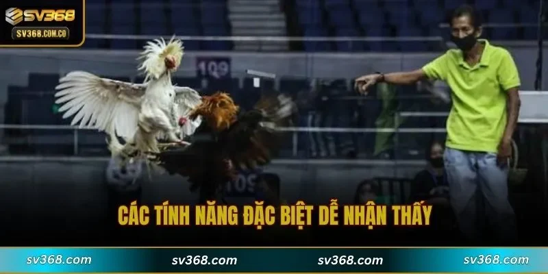 Các tính năng đặc biệt dễ nhận thấy