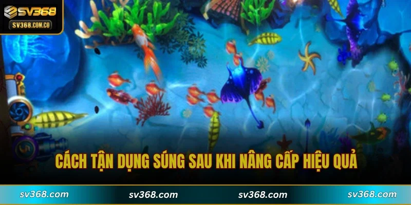 Cách tận dụng súng sau khi nâng cấp hiệu quả