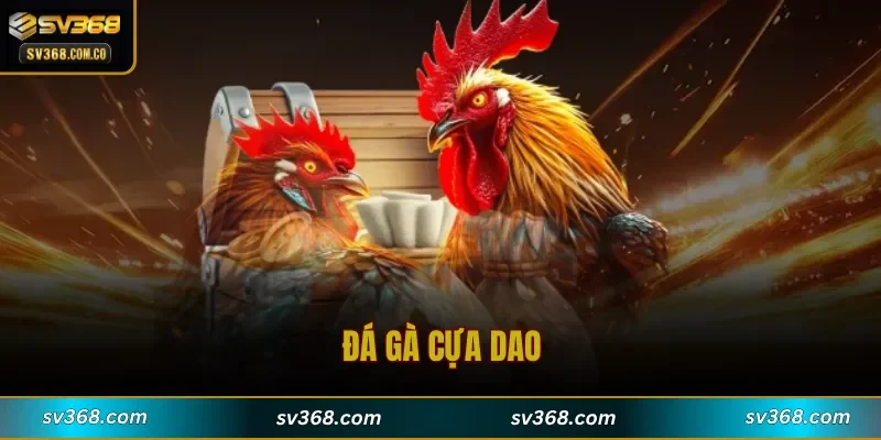 Đá Gà Cựa Dao