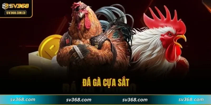 Đá Gà Cựa Sắt