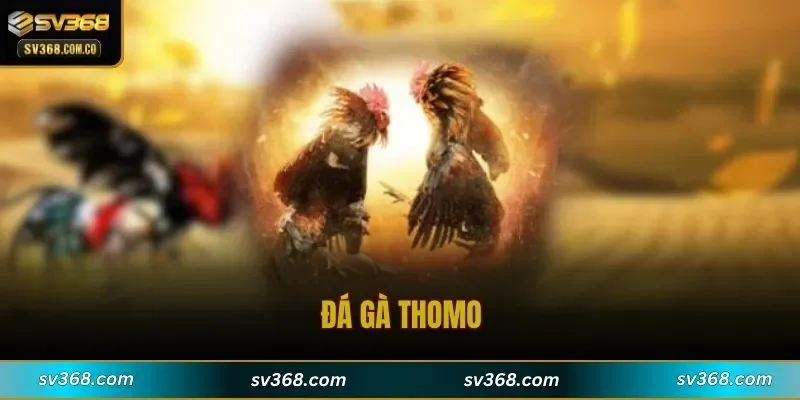 Đá Gà Thomo