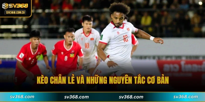 Kèo chẵn lẻ và những nguyên tắc cơ bản