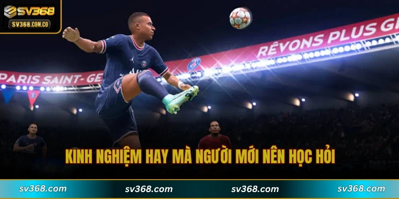 Kinh nghiệm hay mà người mới nên học hỏi