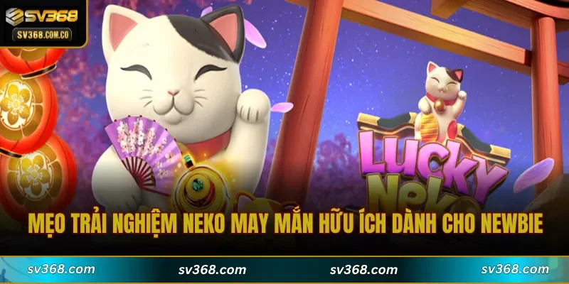 Mẹo trải nghiệm Neko May Mắn hữu ích dành cho newbie