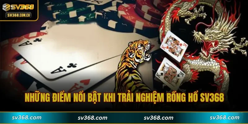 Những điểm nổi bật khi trải nghiệm Rồng Hổ SV368