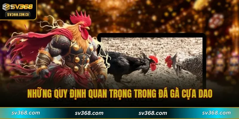 Những quy định quan trọng trong Đá Gà Cựa Dao