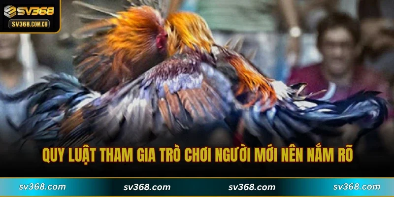 Quy luật tham gia trò chơi người mới nên nắm rõ