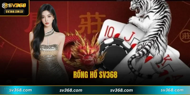 Rồng Hổ SV368