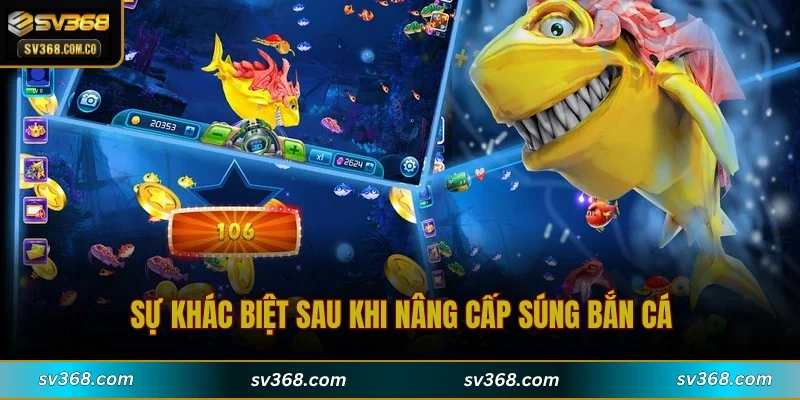 Sự khác biệt sau khi nâng cấp súng bắn cá