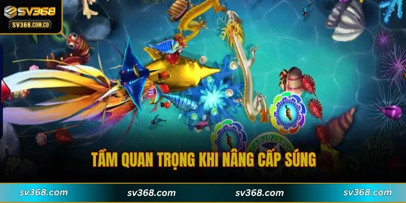 Tầm quan trọng khi nâng cấp súng
