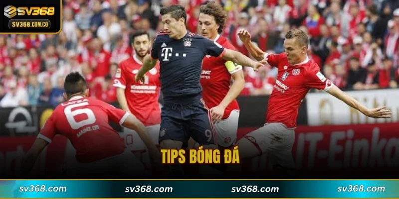 Tips Bóng Đá
