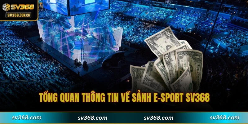 Tổng quan thông tin về sảnh E-sport SV368