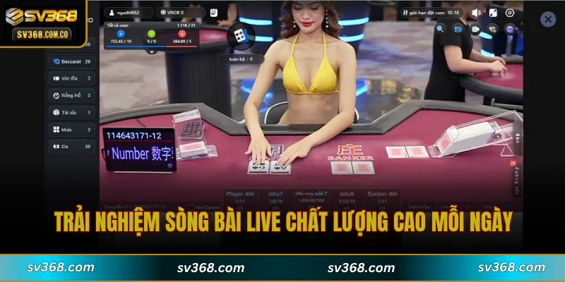 Trải nghiệm sòng bài live chất lượng cao mỗi ngày